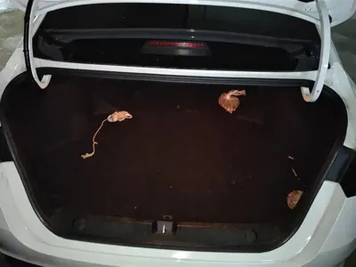 Geely Binrui