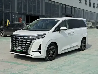 Denza Denza D9