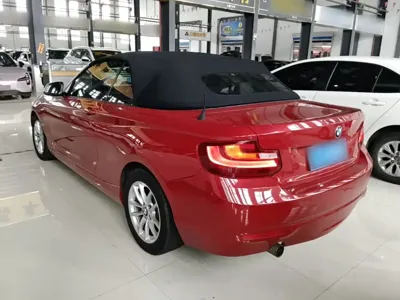 BMW 2 Series (Import)