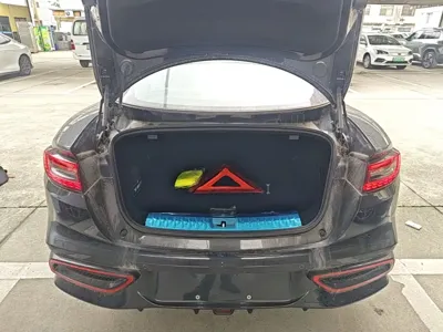 NETA Neta GT