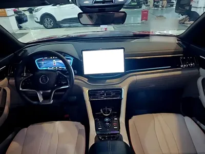 BYD PLUS New Energy