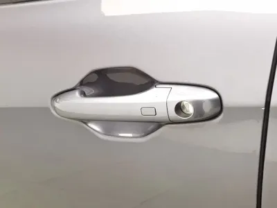 NETA Neta V