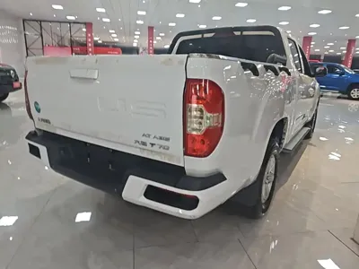 大通 T70
