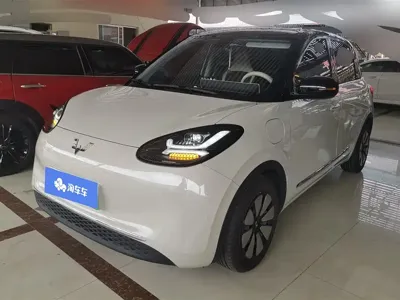 Wuling Bingo