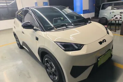 BYD Seagull