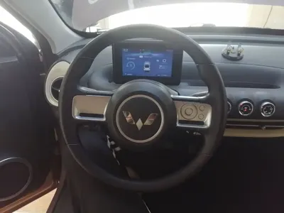 Wuling Bingo