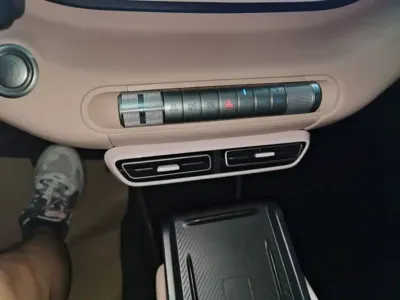 BYD Seagull