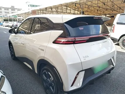 BYD Seagull