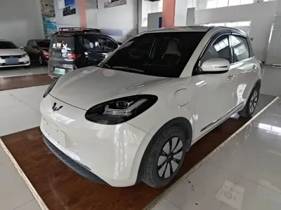 Wuling Bingo
