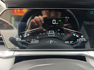 Geely Binrui