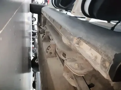 NETA Neta V