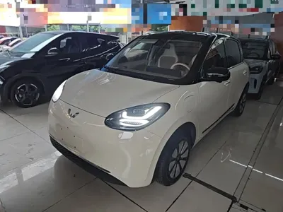 Wuling Bingo