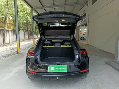 BYD L EV