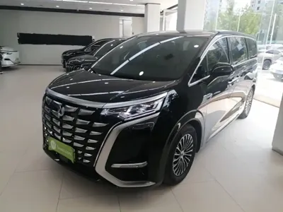 Denza Denza D9