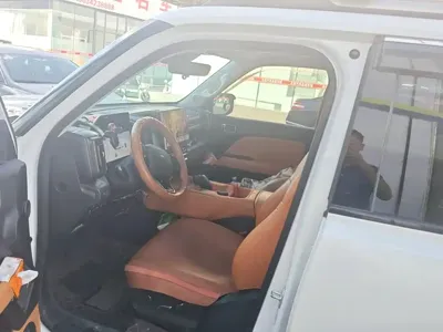 Haval Menglong New Energy