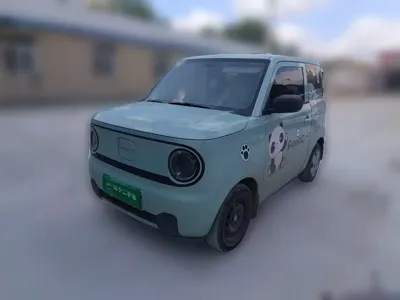 Galaxy Panda