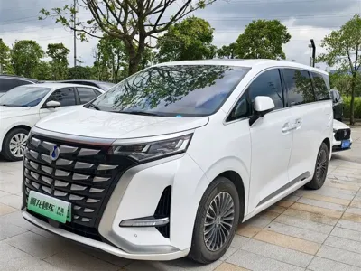 Denza Denza D9