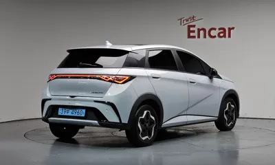 BYD Dolphin