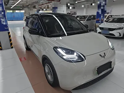 Wuling Bingo