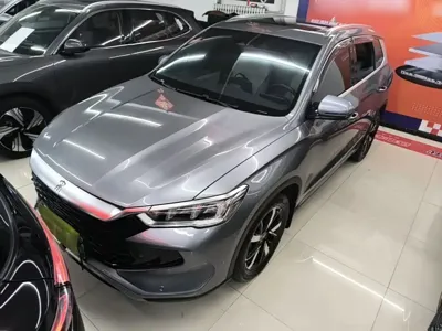 BYD Pro New Energy