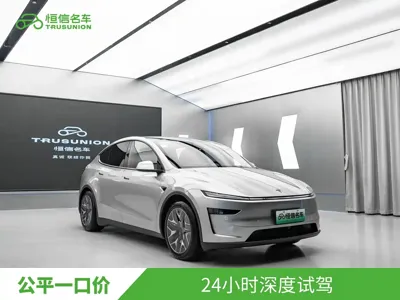 Tesla Model Y L