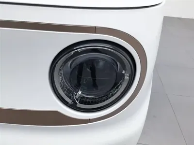 Galaxy Panda