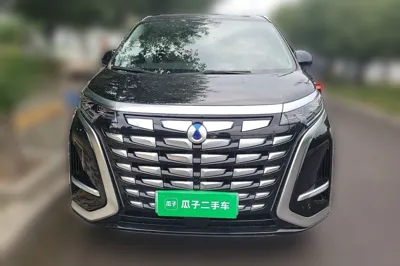 Denza D9