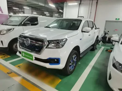 Dongfeng Rich 6 New Energy