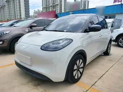 Wuling Bingo