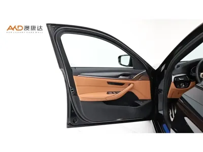 BMW 5 Series (Import)