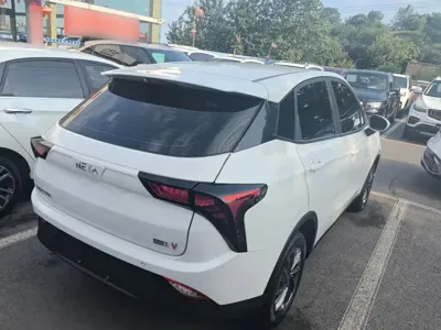 NETA Neta V