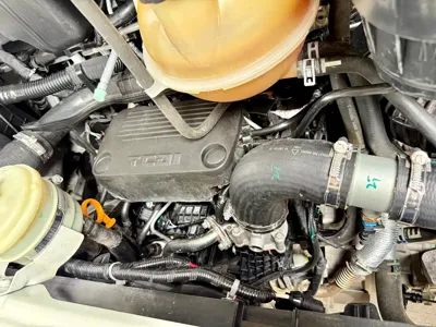 Maxus V80