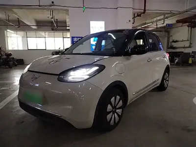 Wuling Bingo