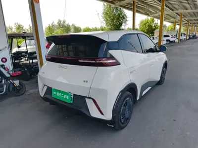 BYD Seagull