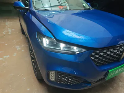 WEY VV6