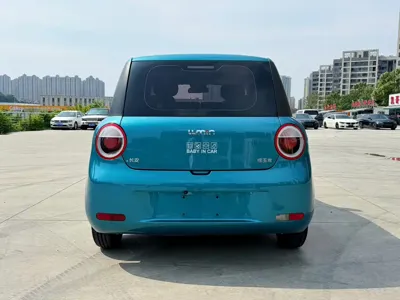 Qiyuan Lumin