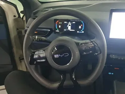 BYD Seagull