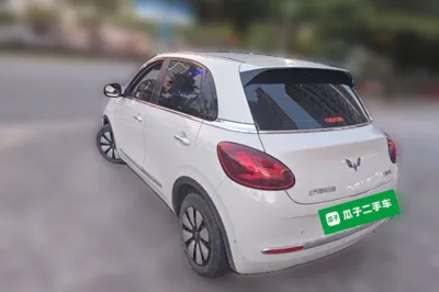 Wuling Bingo