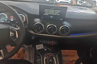 WEY VV6
