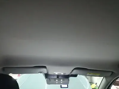 NETA Neta V
