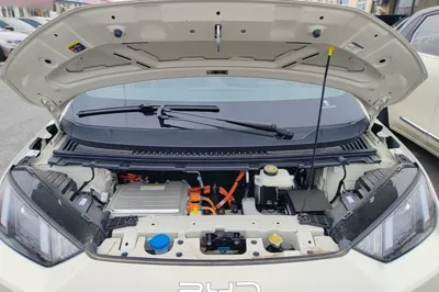 BYD Seagull