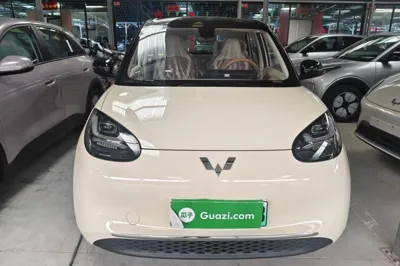 Wuling Bingo