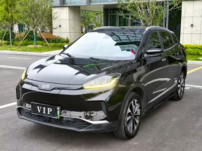 WM Motor EX5