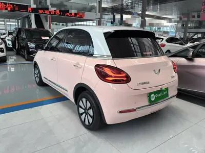 Wuling Bingo
