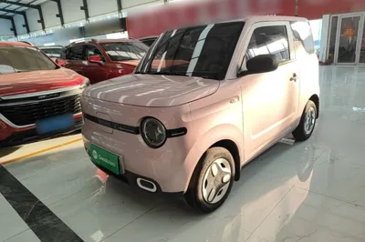 Geely Galaxy Panda