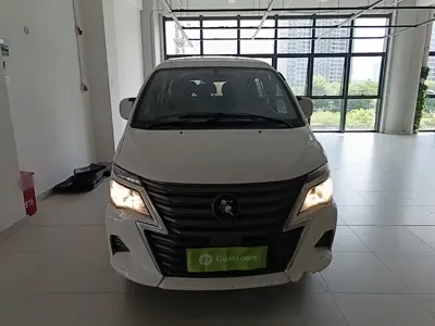 Fengxing Lingzhi