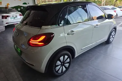 Wuling Bingo