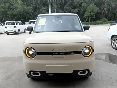 Galaxy Panda