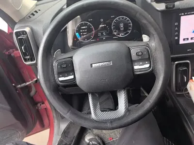 Haval Big Dog