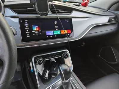Geely Auto Binray